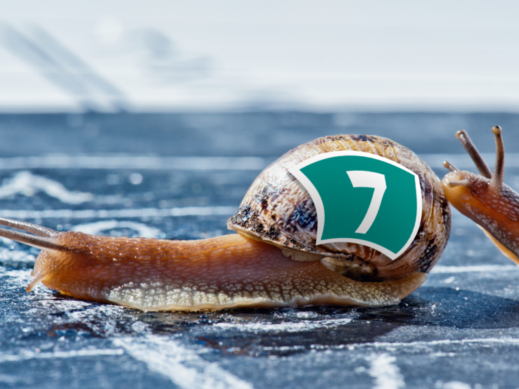 snail crosses finish line Sarah Gibson