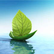 Sarah Gibson New Years Themes