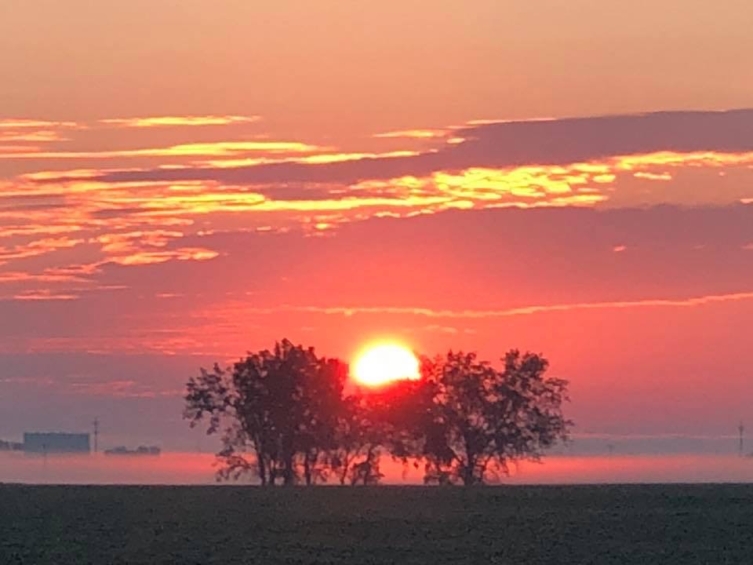 The Best Day Ever Sarah Gibson