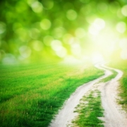 Sarah Gibson Addresses Things Ending.